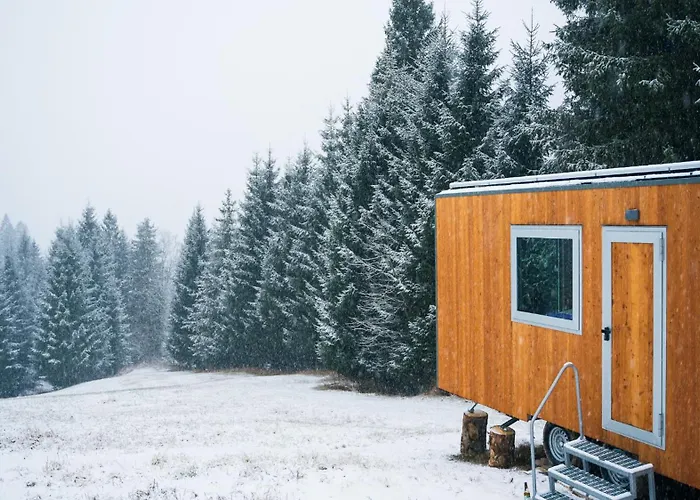 Οργανωμένο κάμπινγκ Tra Boschi E Tradizioni, Rigenerarsi A Sauris Lateis